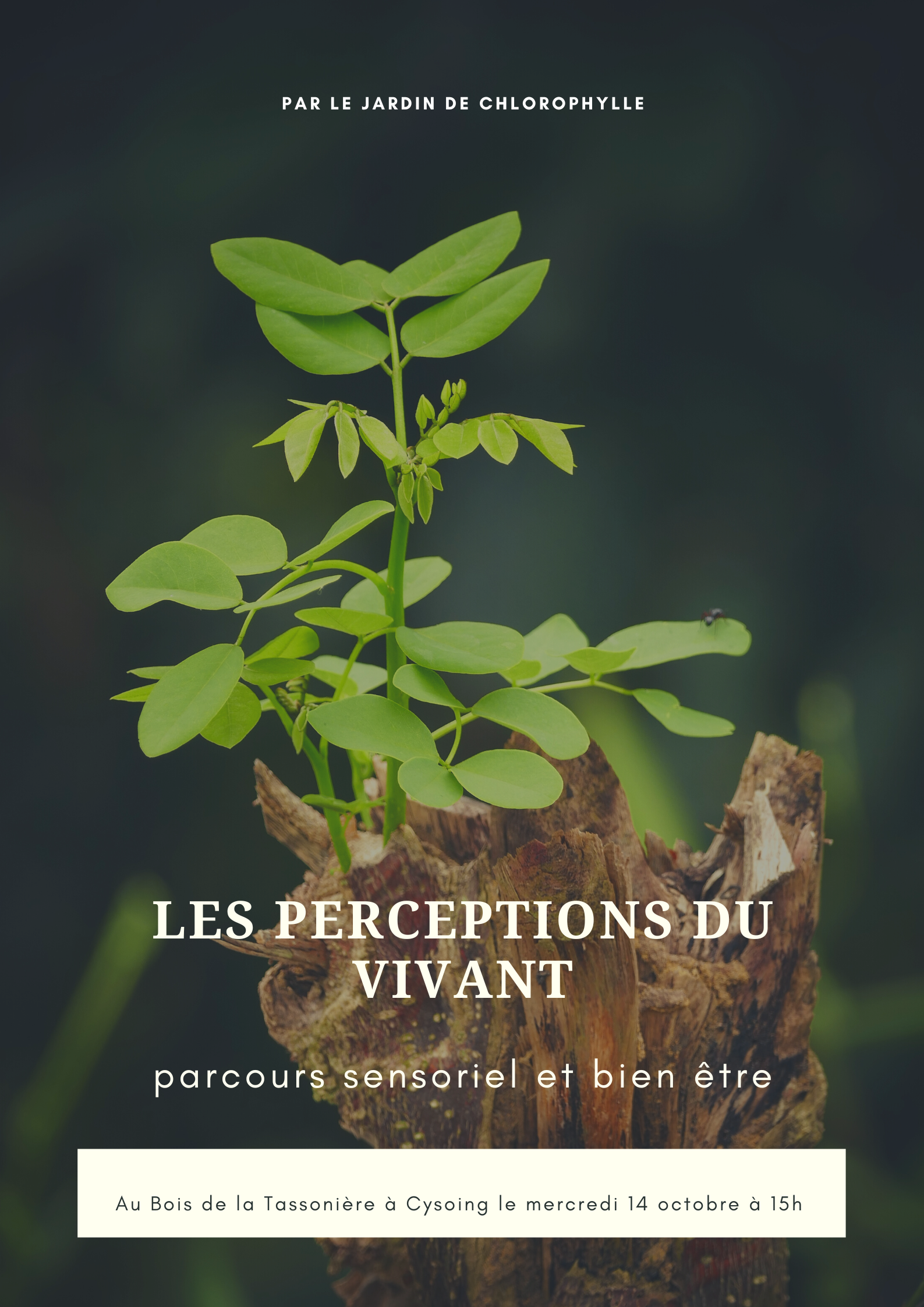 event-les-perceptions-du-vivant-565-cfbf6a